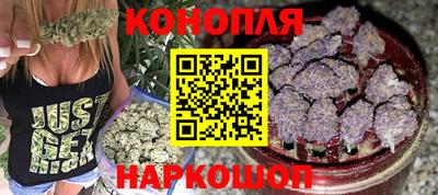 хмурый Новозыбков