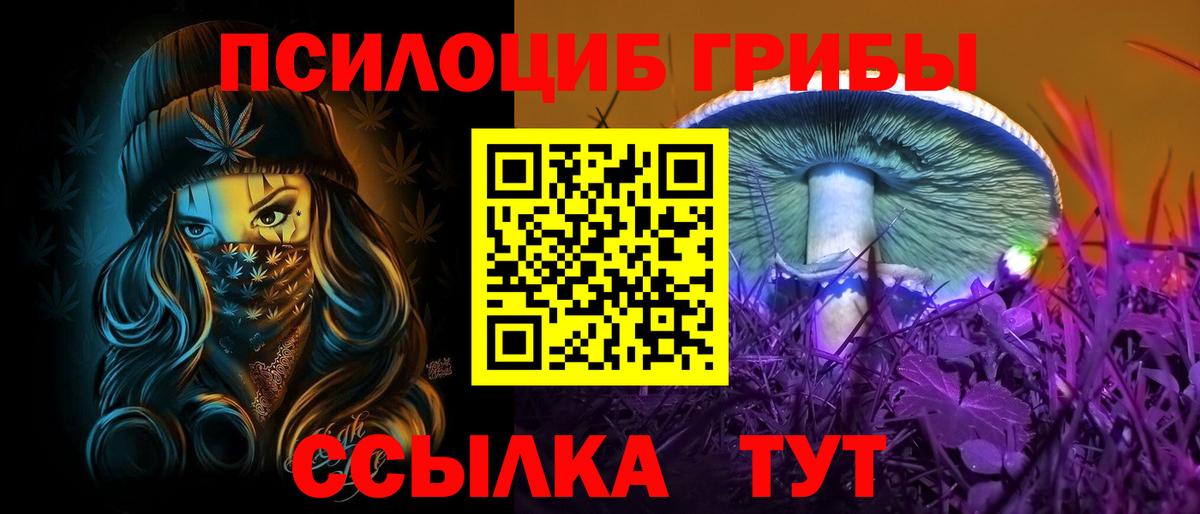 Псилоцибиновые грибы Psilocybe Тверь