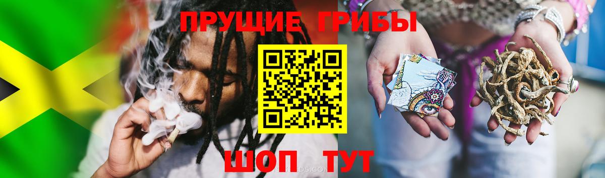 Псилоцибиновые грибы MAGIC MUSHROOMS  Вход с VPN  Галлюциногенные грибы ЛСД  Тверь 